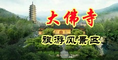 啪啪鸡吧小穴网站中国浙江-新昌大佛寺旅游风景区